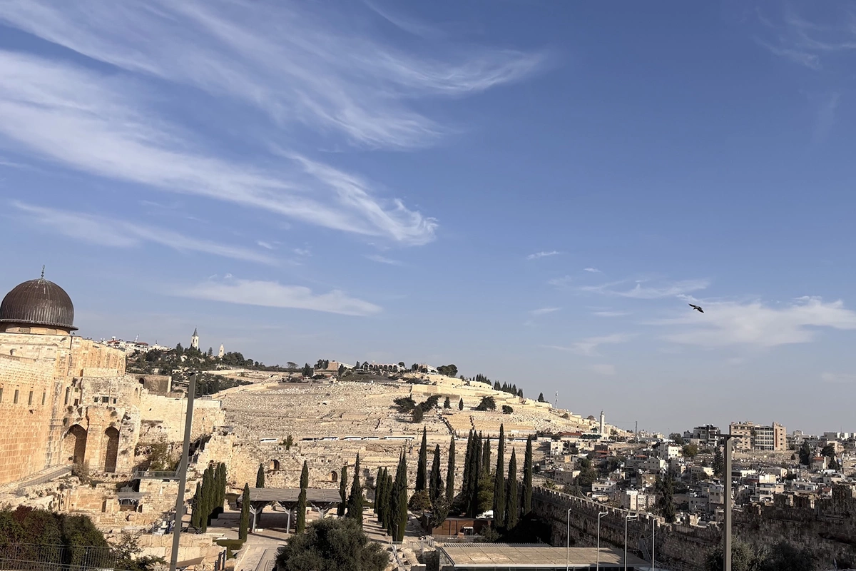 Вид на Елеонское кладбище на Масличной горе, где хоронят вот уже более 3000 лет. Здесь покоятся поколения еврейских семей и знаменитые евреи: Элиэзер Бен-Йехуда, отец современного иврита; Шмуэль Йосеф Агнон, лауреат Нобелевской премии по литературе; Борис Шац, основатель художественной школы Бецалель, и другие