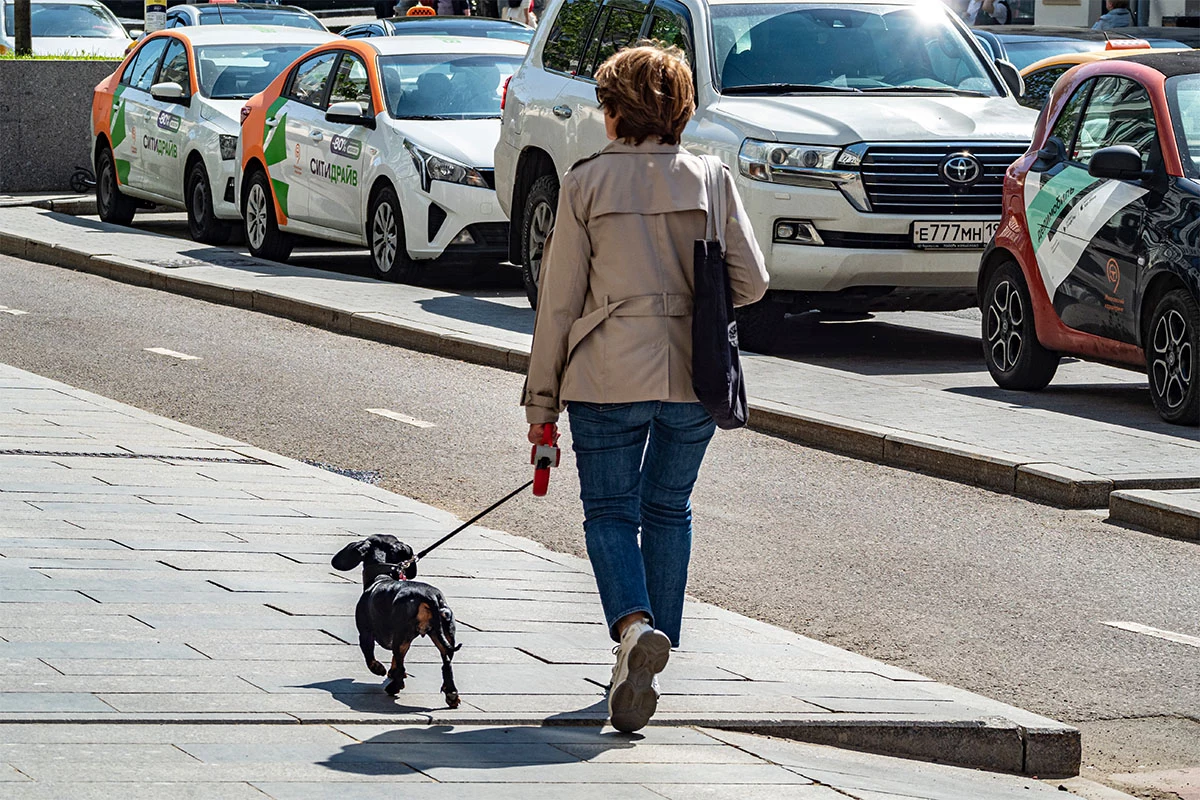 <p>Женщина гуляет по улице с собакой</p>