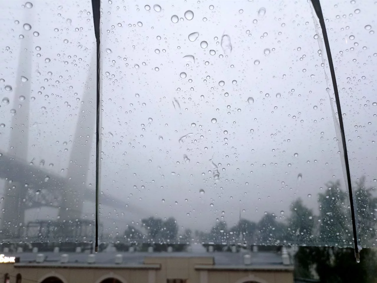 РБК Приморье