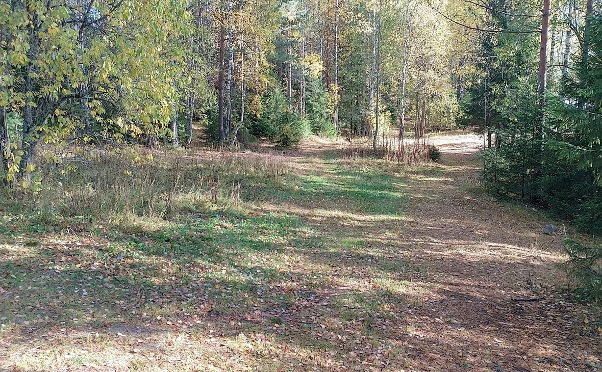 БПРУ РК «Дирекция особо охраняемых природных территорий регионального значения Республики Карелия» / vk.com