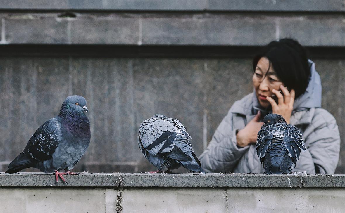 Фото: Андрей Любимов / РБК