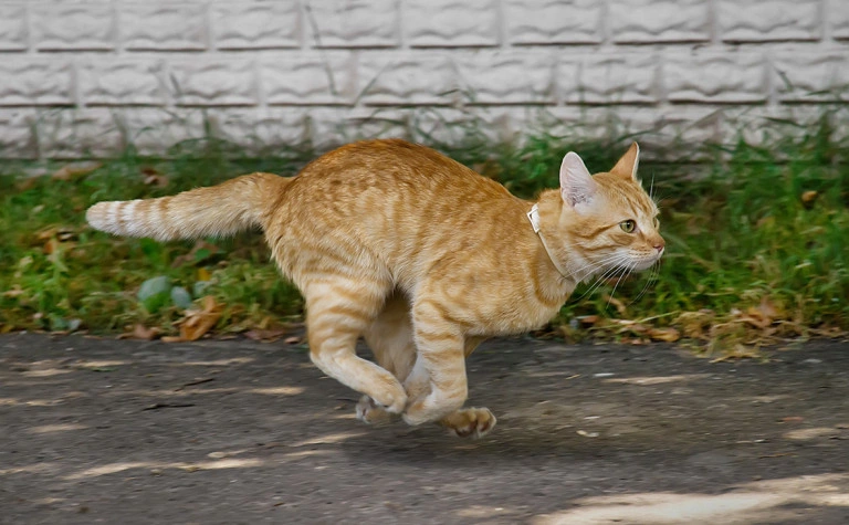 Илья Галахов / Global Look Press