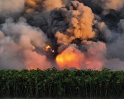 Пожар на военном арсенале в Приморье: СК РФ возбудил уголовное дело 