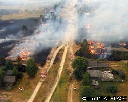 Число жертв природных пожаров в России неуклонно растет