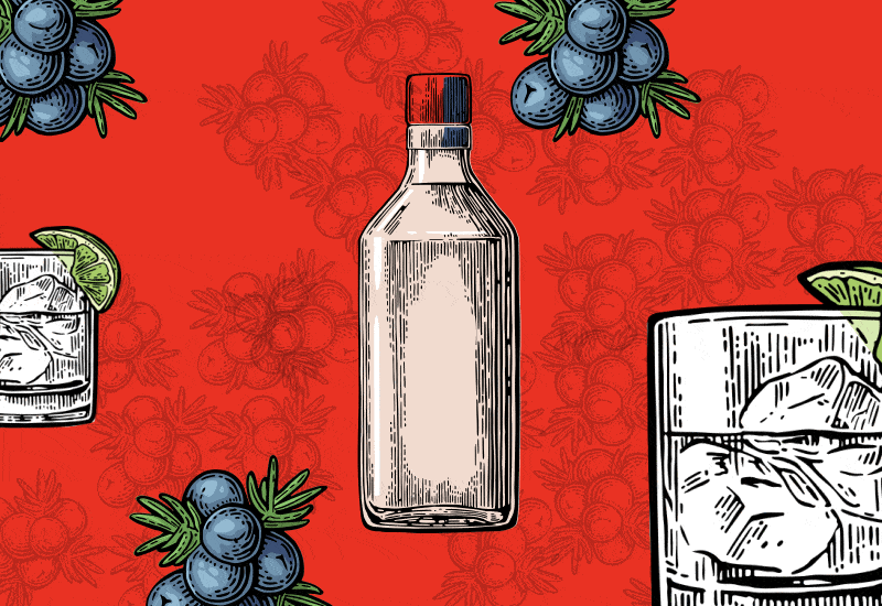 Джин из бутылки: все о главном алкоголе 2016 года