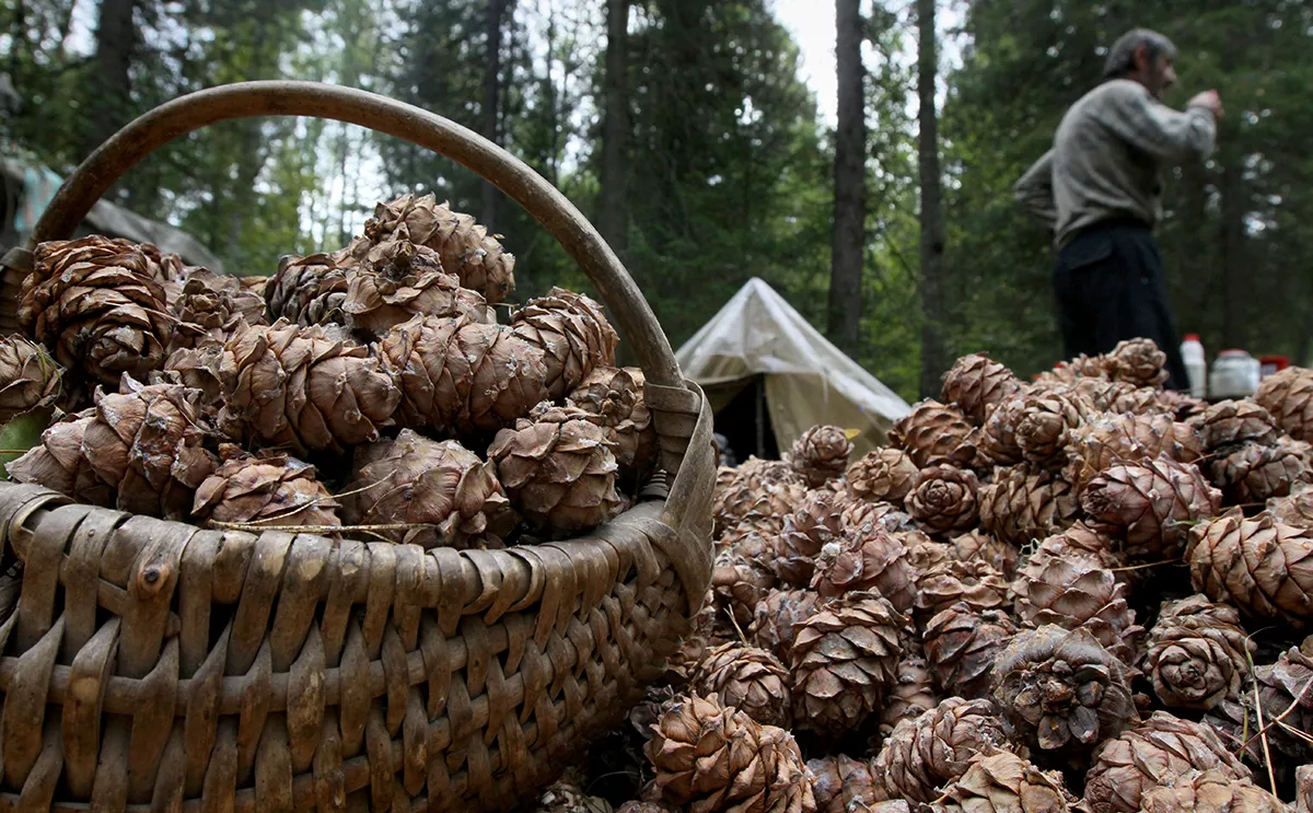 Алексей Мальгавко / РИА Новости