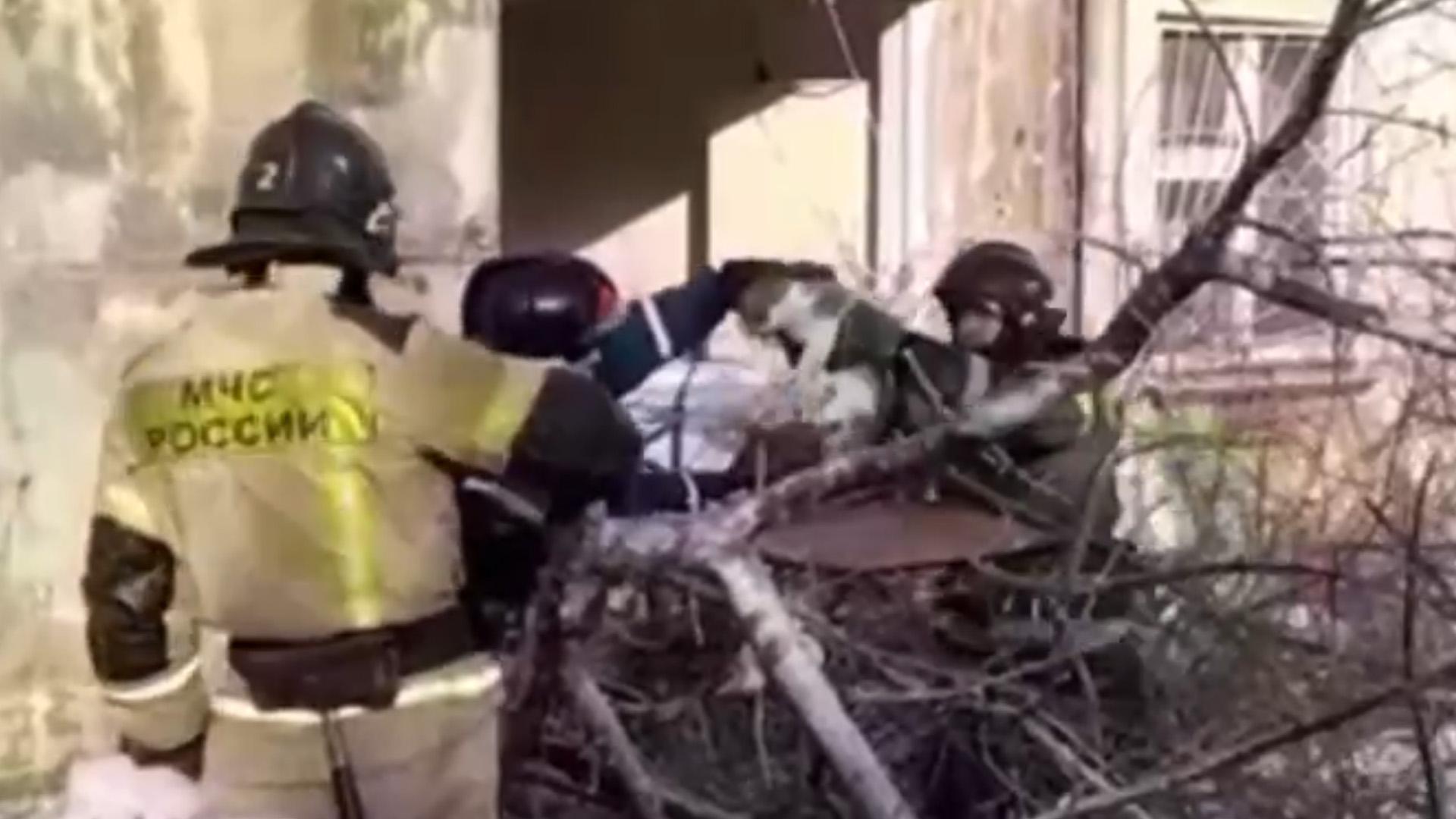 Сотрудники МЧС спасли кота из-под развалин рухнувшего в Новосибирске дома