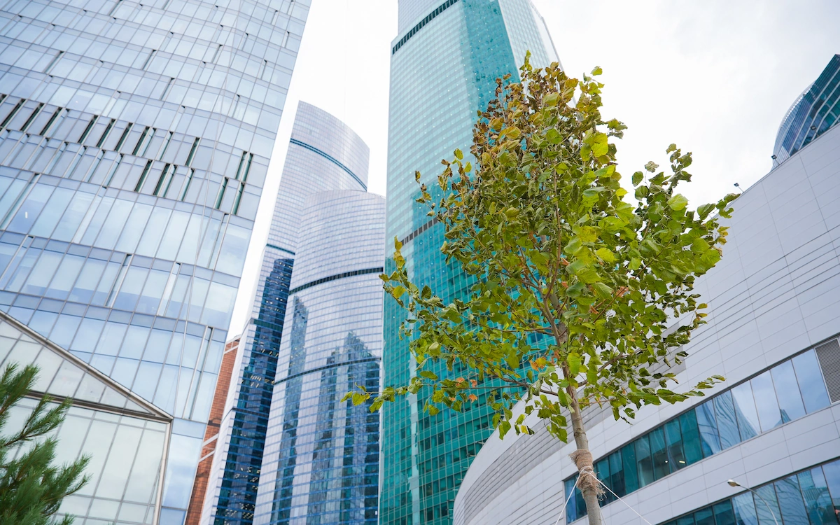 пресс-служба департамента транспорта Москвы
