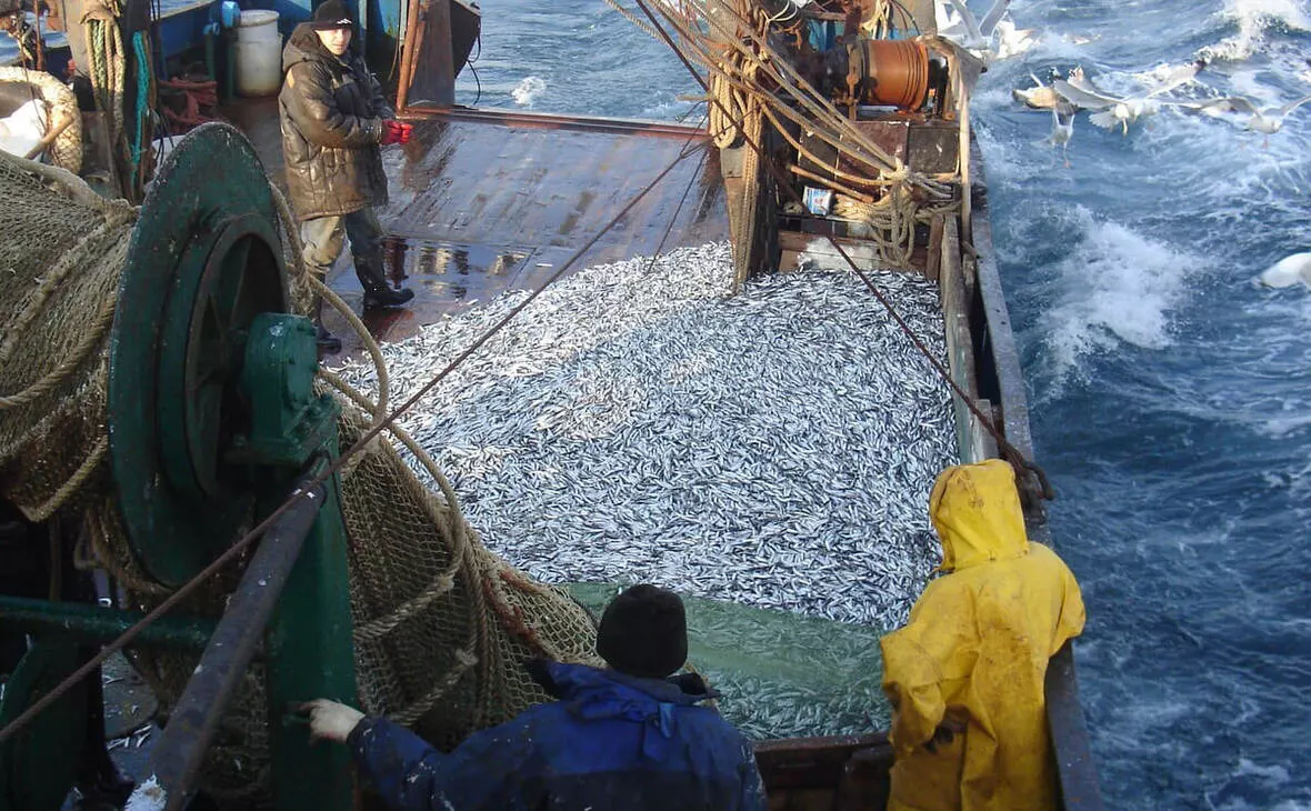 Росрыболовство / t.me