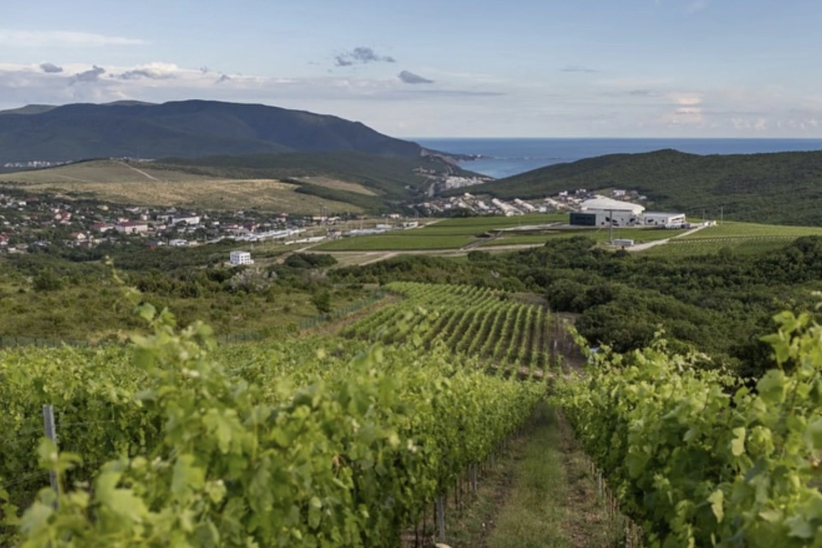 «Скалистый берег»