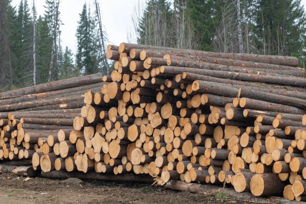 Сергей Русанов / РИА URA.RU