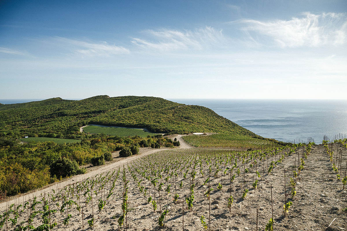 Самые необычные фотографии из книги «Время вина»