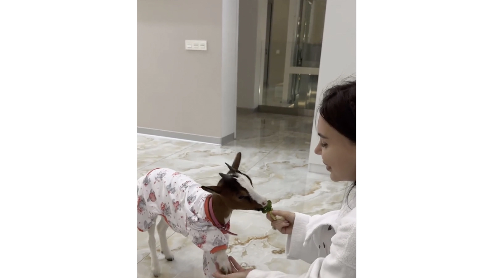 Оксана Самойлова с козой Мими