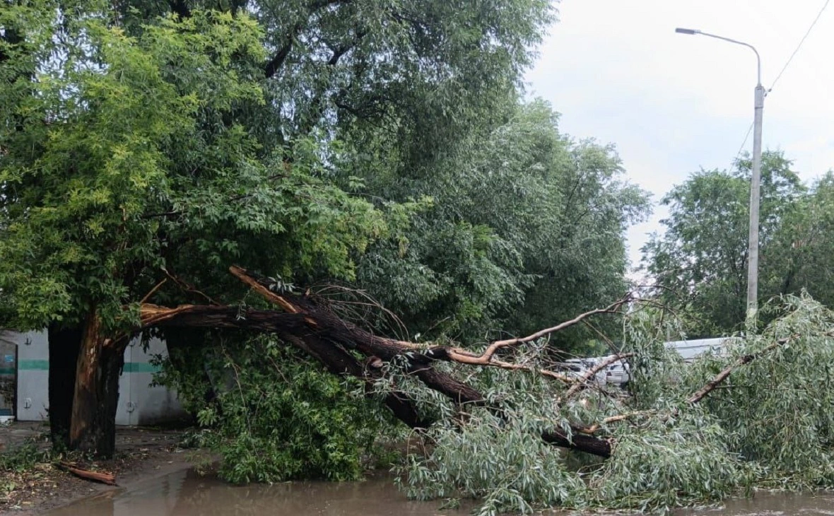 Администрация города Омска