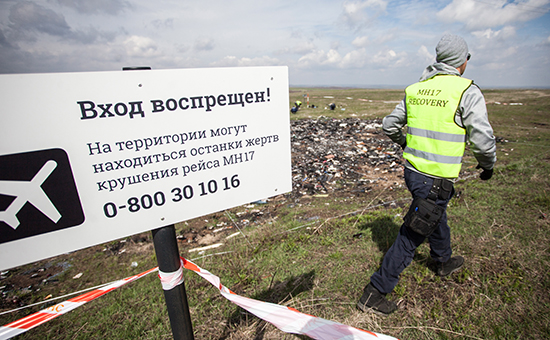 Место крушения &laquo;Боинга&raquo; в&nbsp;Донецкой области