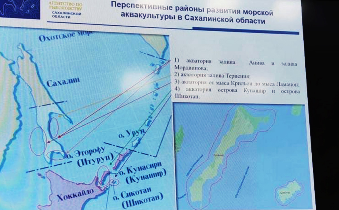 На Сахалине уволили чиновника за использование японской карты Курил