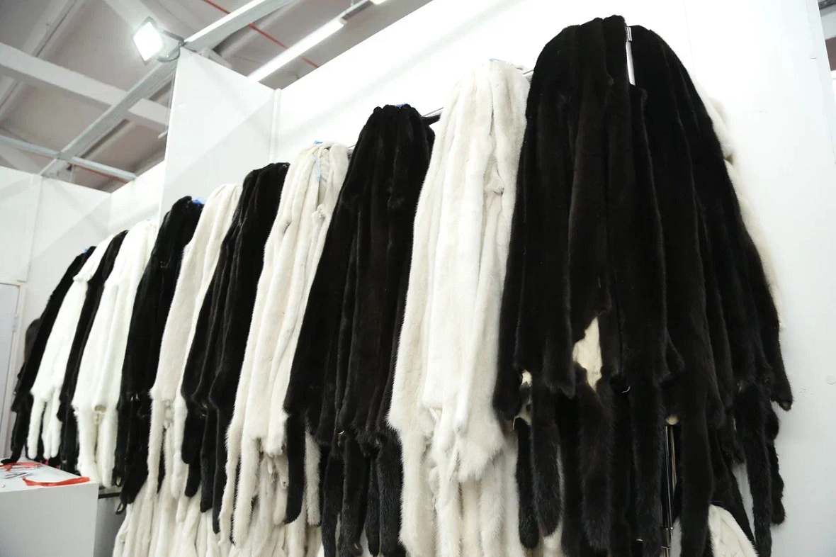 Анатолий Мирошниченко