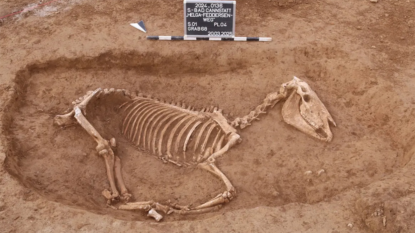 1800-летнее древнеримское кладбище лошадей в Германии