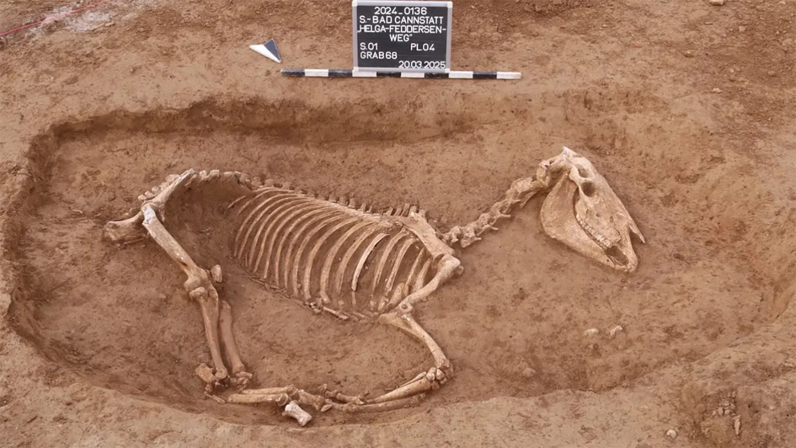 1800-летнее древнеримское кладбище лошадей в Германии