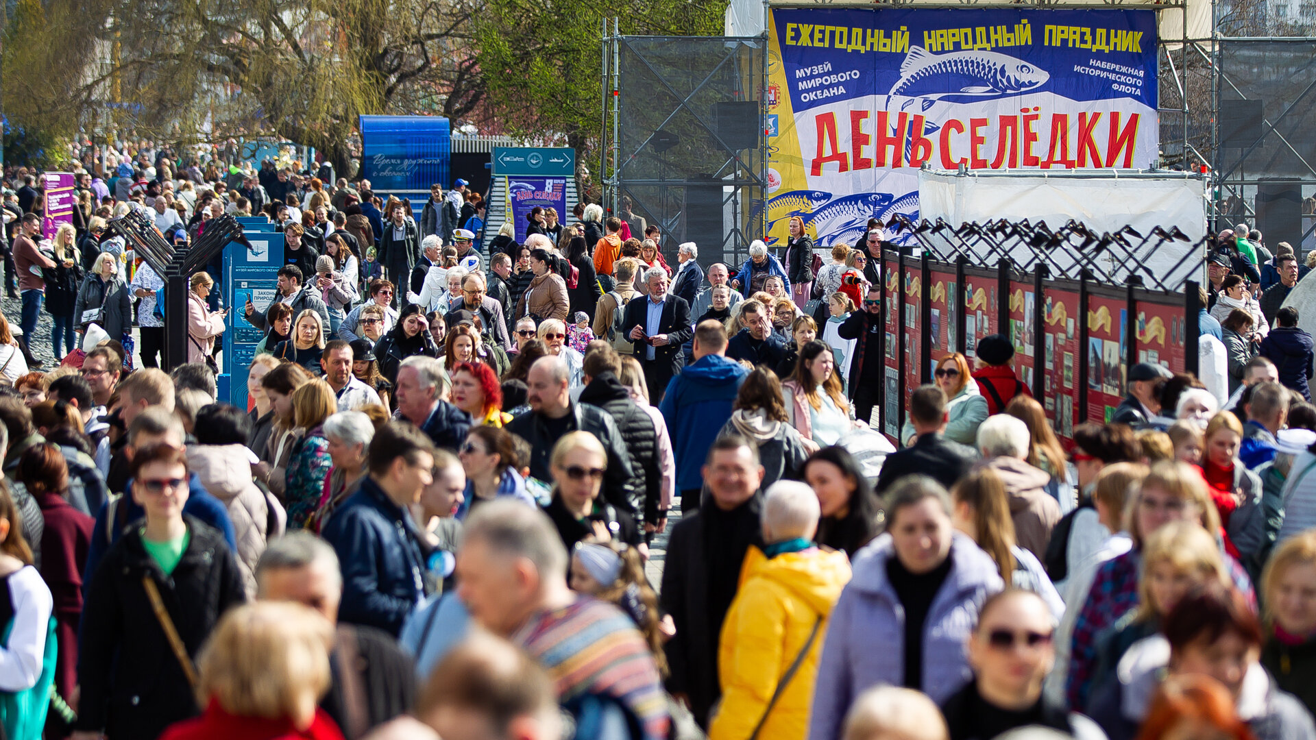 Калининградский День селедки вошел в календарь туристических событий РФ