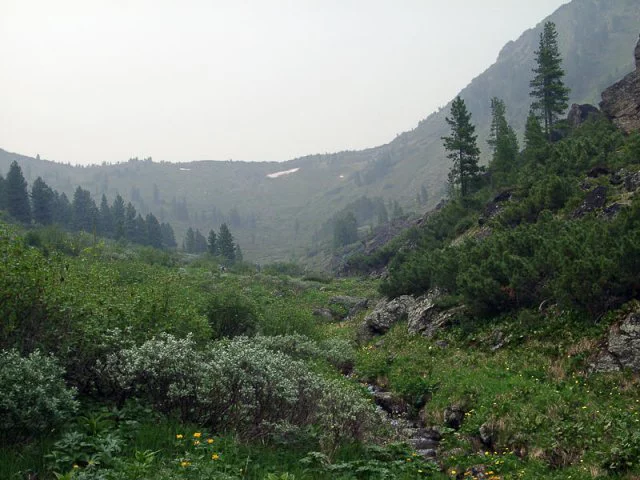 Уссурийский заповедник