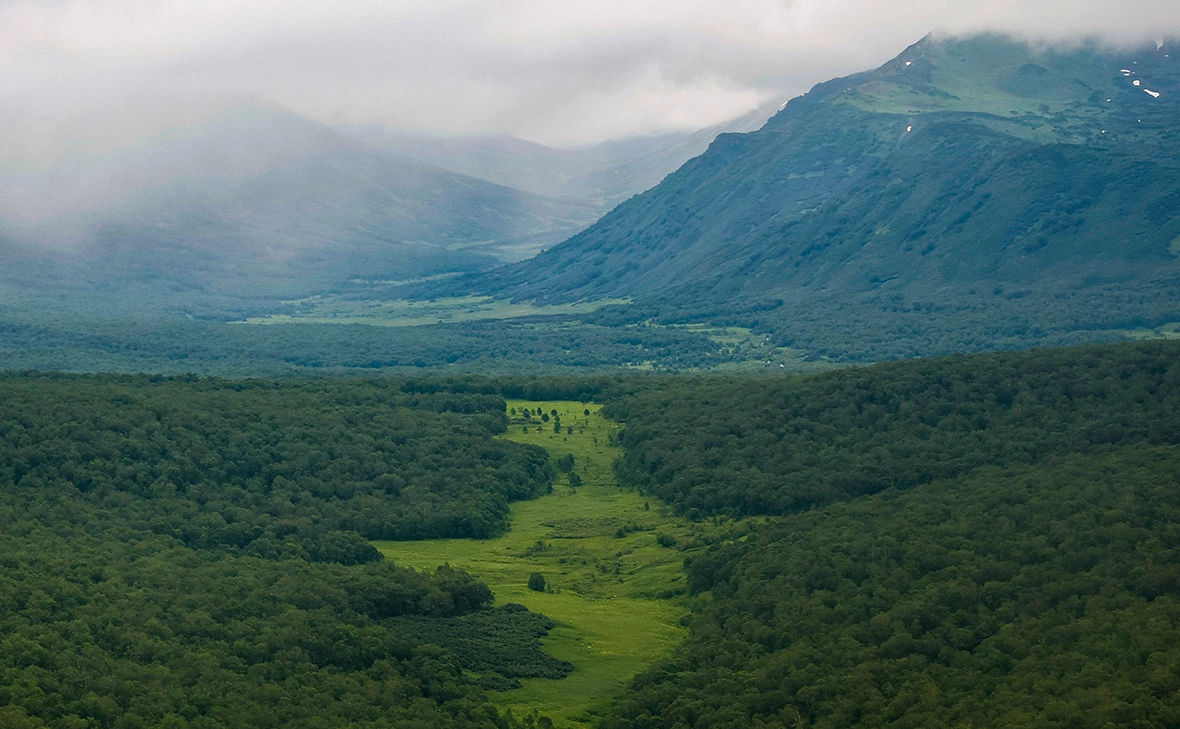 Михаил Синицын / ТАСС