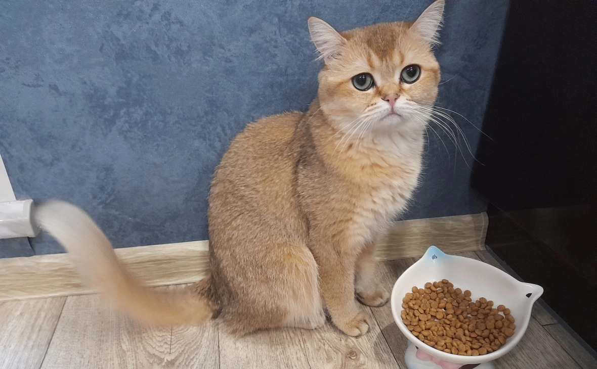 РБК Черноземье