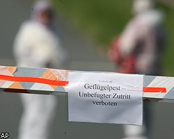 В Германии зарегистрирована новая вспышка птичьего гриппа