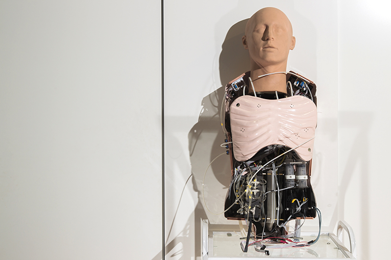 Большую часть продаж &laquo;Эйдос-Медицины&raquo; занимают роботы-пациенты и виртуальные симуляторы эндоваскулярной и абдоминальной хирургии. На эти тренажеры в сумме приходится 60% выручки.