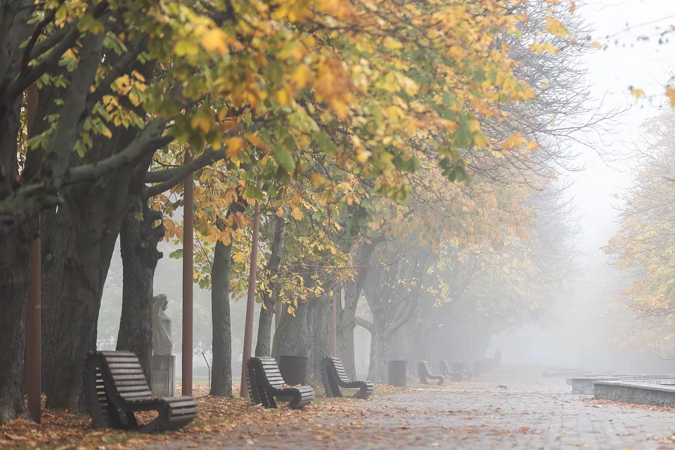 Александр Подгорчук