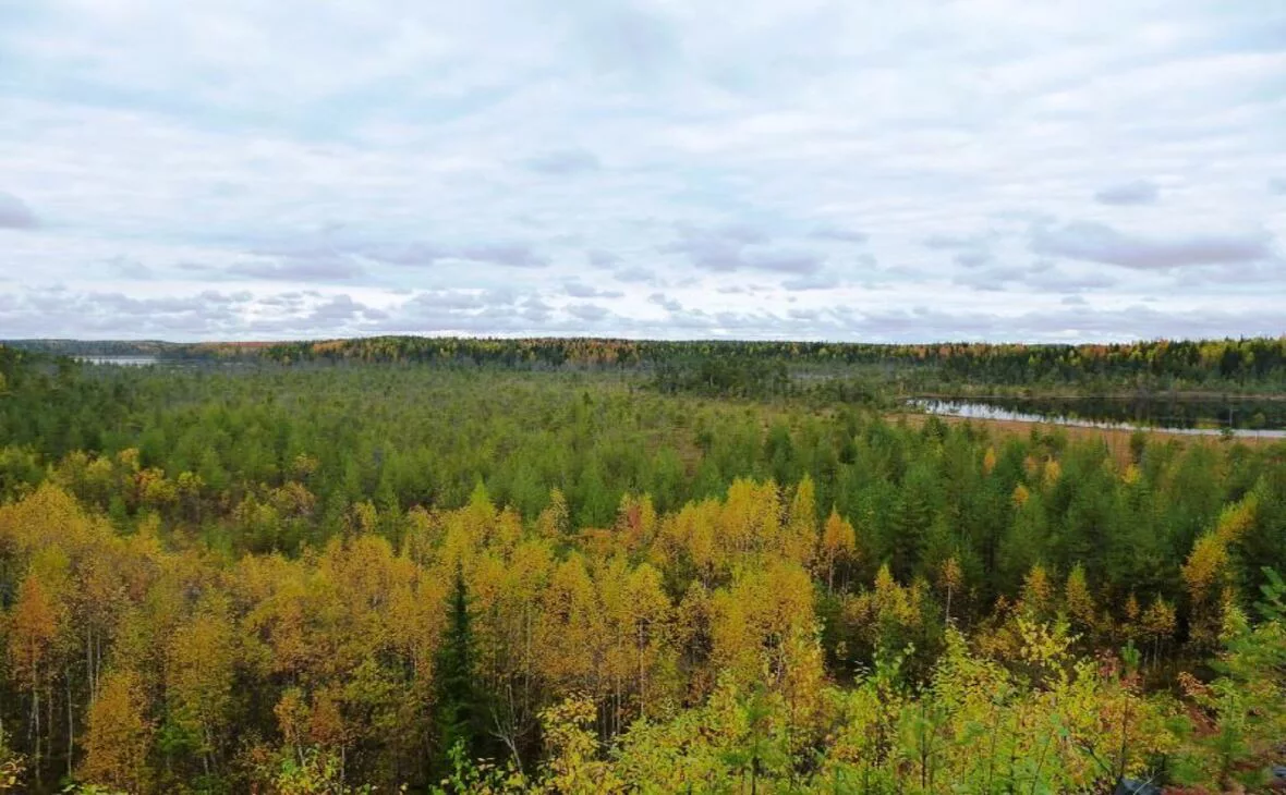 gov.karelia.ru