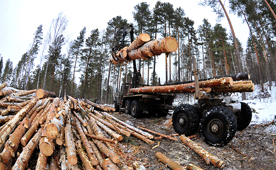 Заготовка леса в Челябинской области