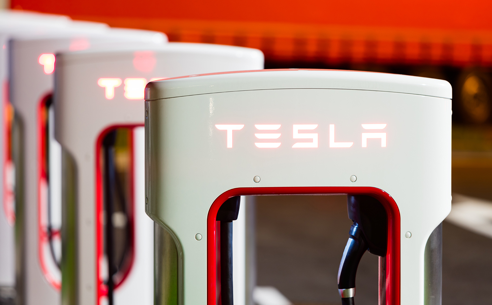 Фото: Shutterstock