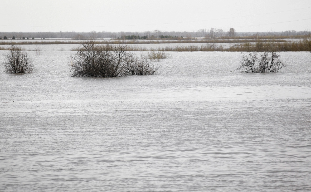 Евгений Кузьмин / РИА Новости