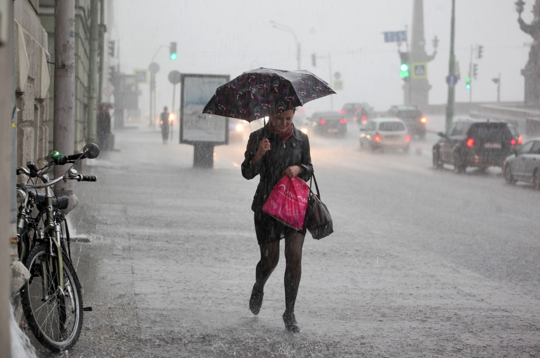 Фото: Пальм Елена / PhotoXPress.ru