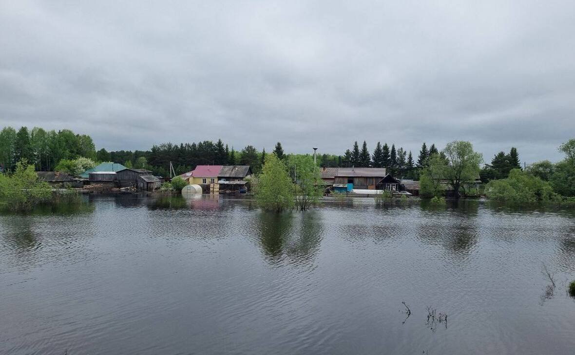 Фото: Телеграм-канал Виталия Хоценко