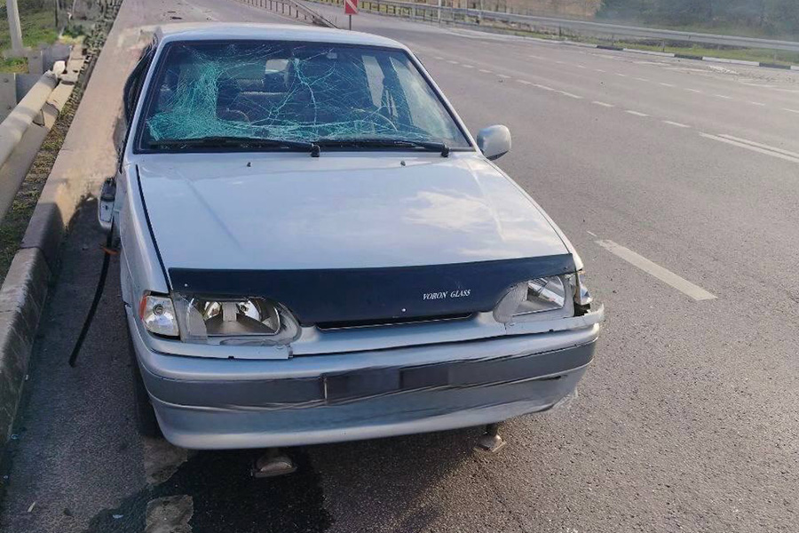 Фото: vvgladkov / Telegram