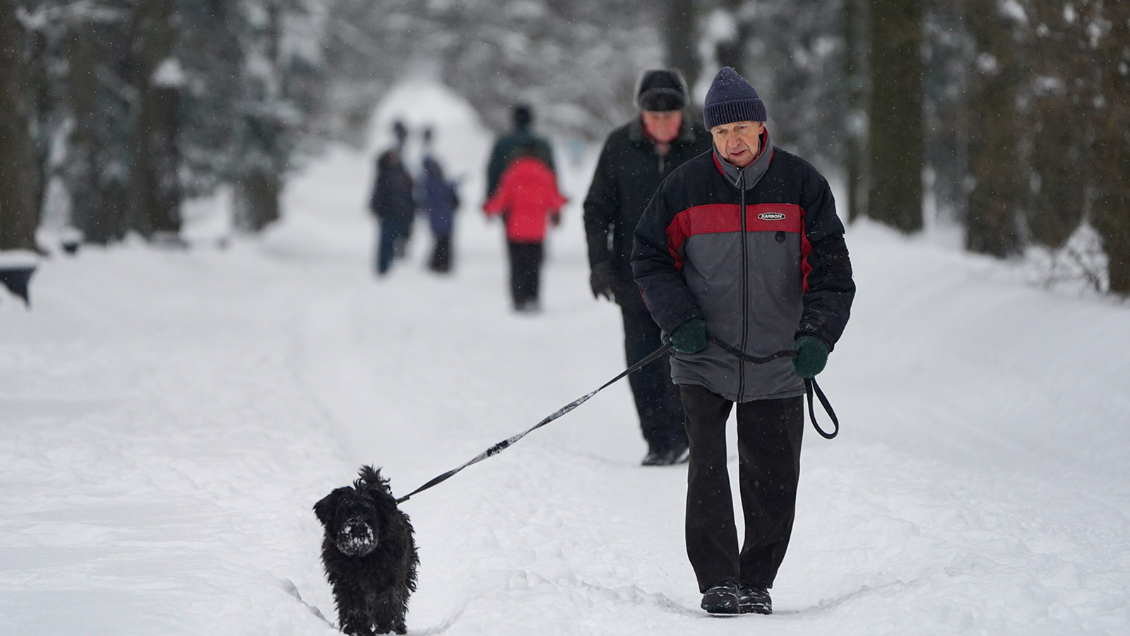 Синоптик опроверг вероятность аномально холодной предстоящей зимы