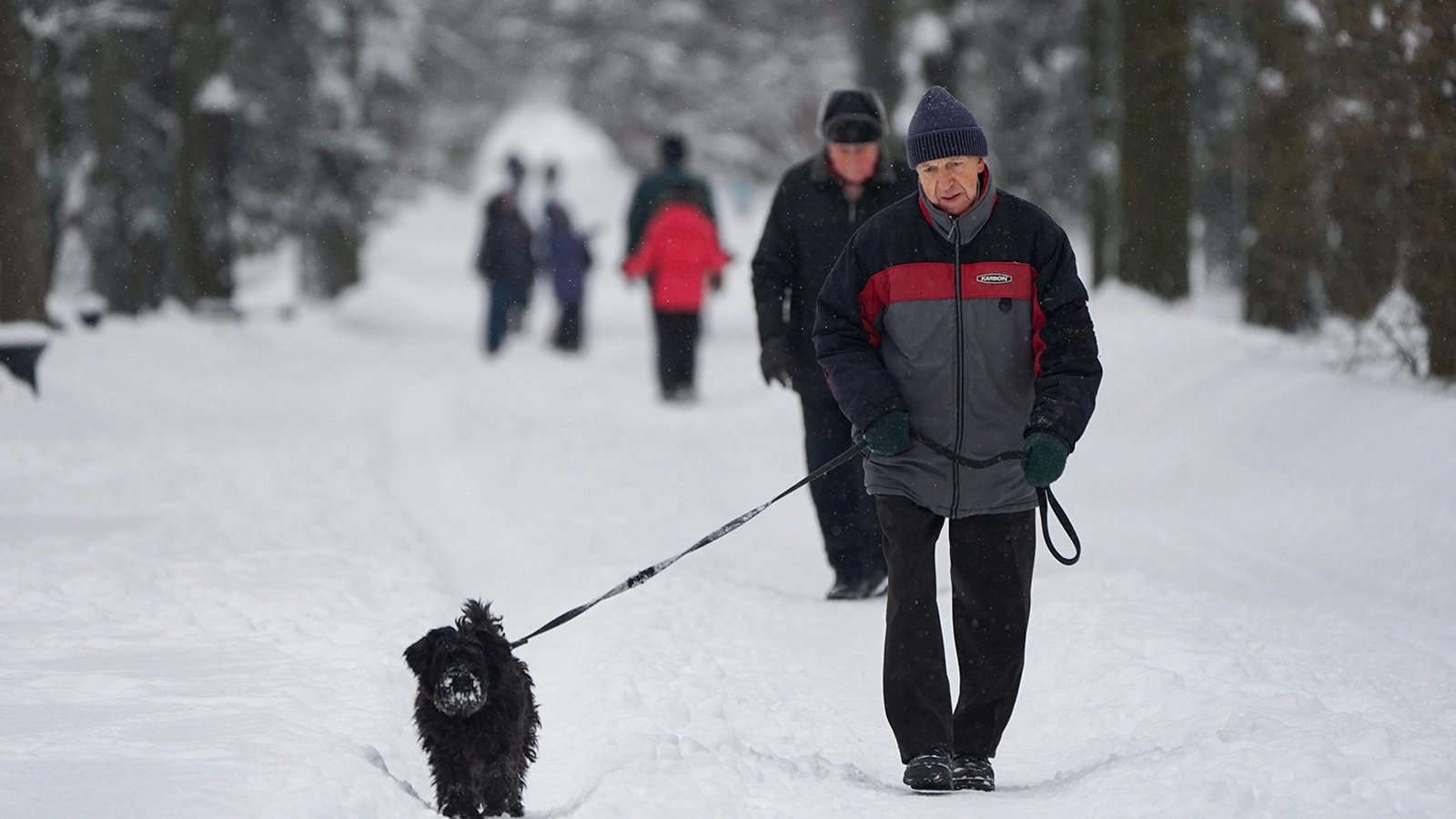 Синоптик опроверг вероятность аномально холодной предстоящей зимы