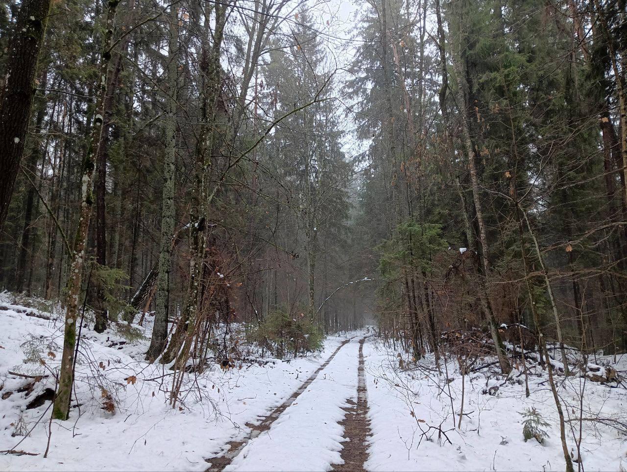 Фото: телеграм-канал нацпарка