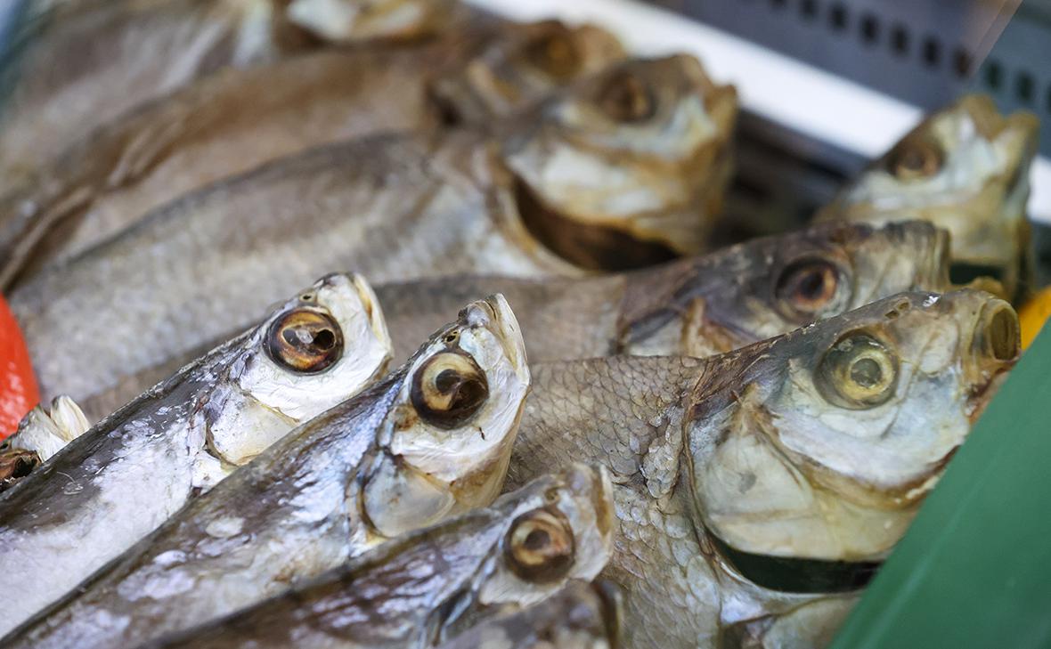 Фото: Алексей Белкин / NEWS.ru / Global Look Press