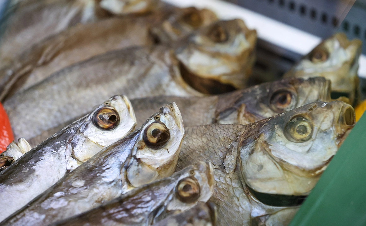 Алексей Белкин / NEWS.ru / Global Look Press