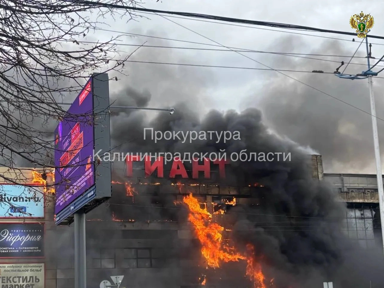 пресс-служба региональной прокуратуры