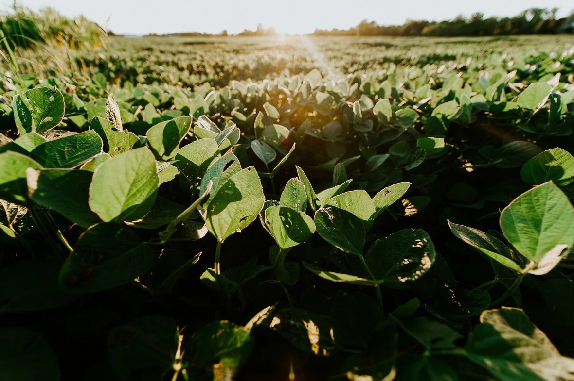 unsplash.com