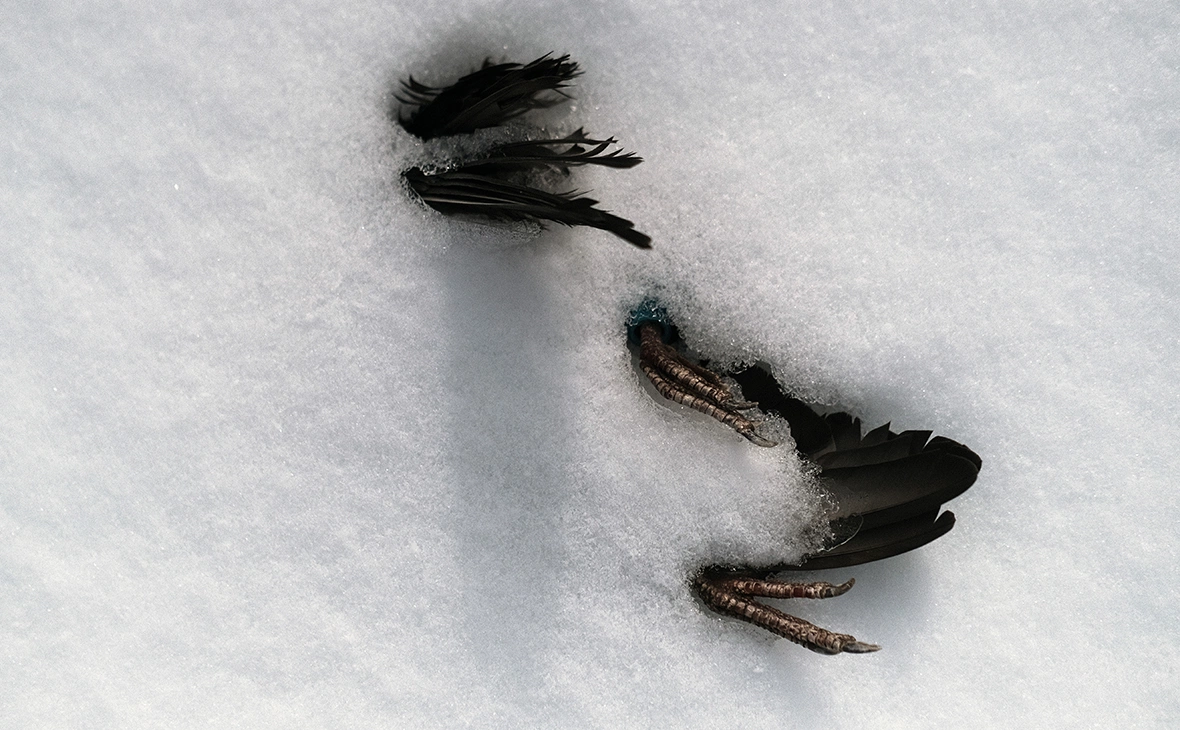 Spencer Platt / Getty Images