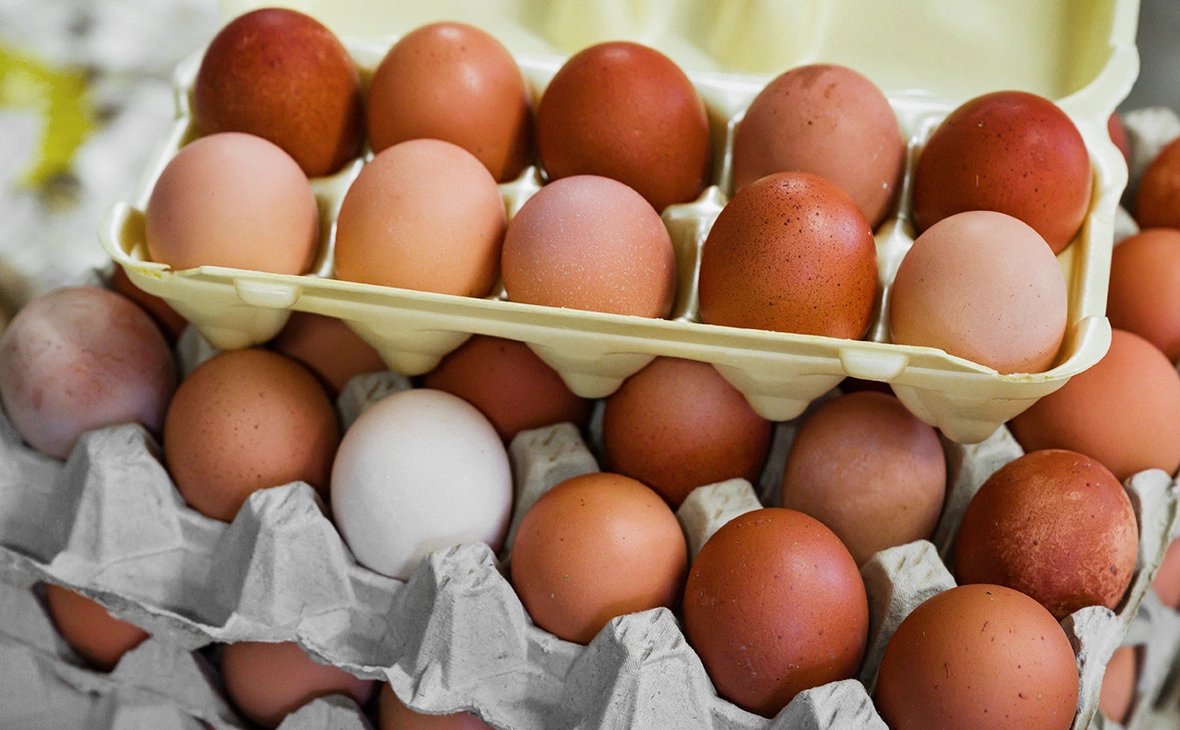 Patrick Pleul / ZB / dpa / Global Look Press