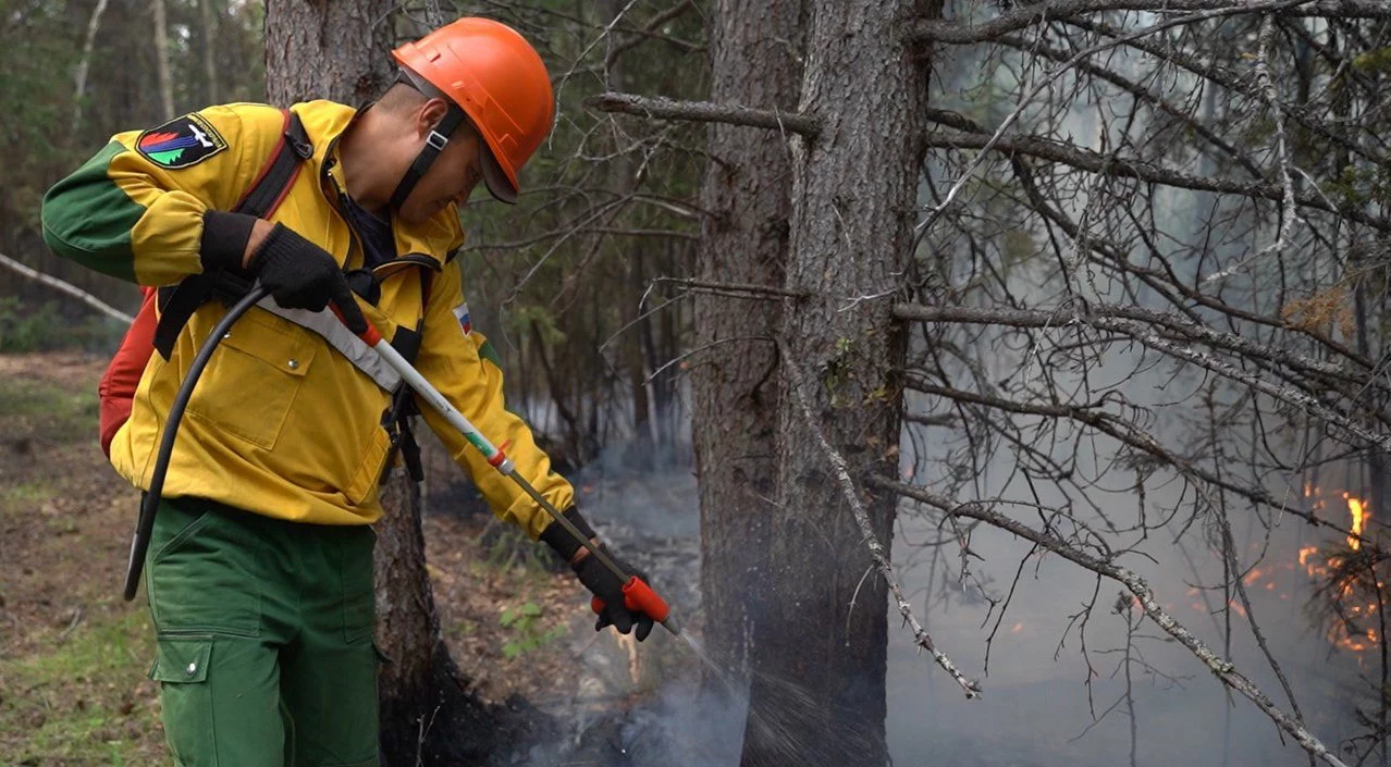 Авиалесоохрана