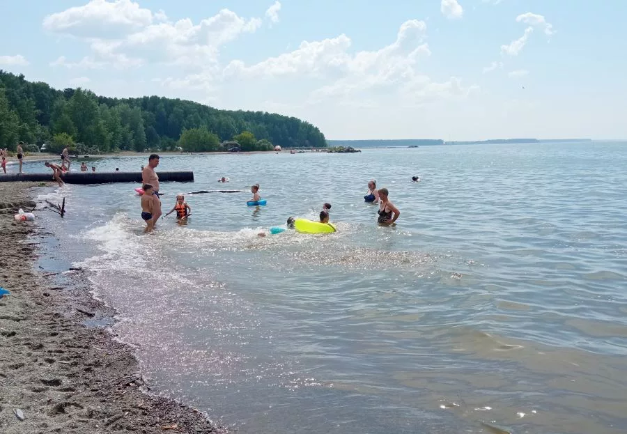 РБК Новосибирск