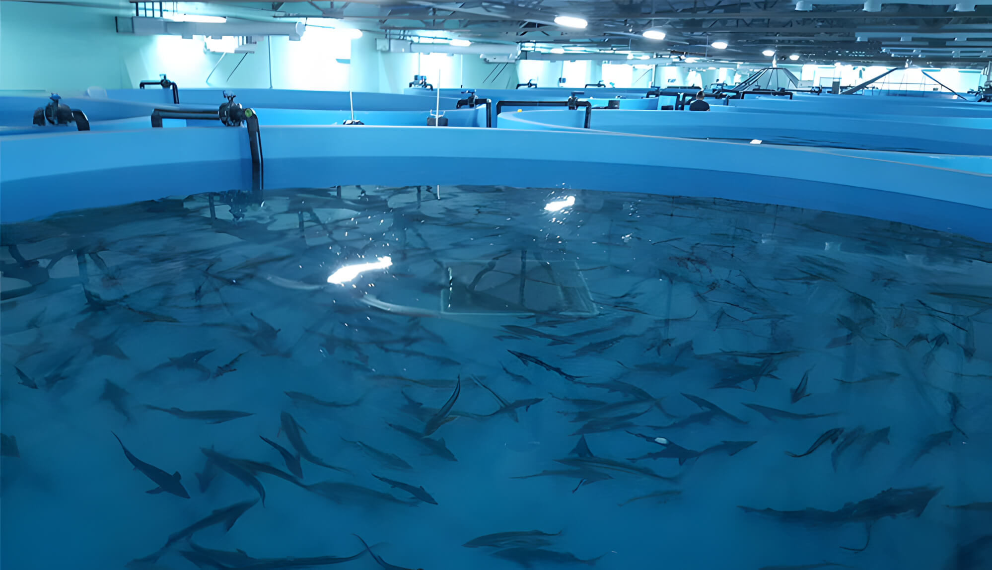 Фото: сайт регионального минсельхоза