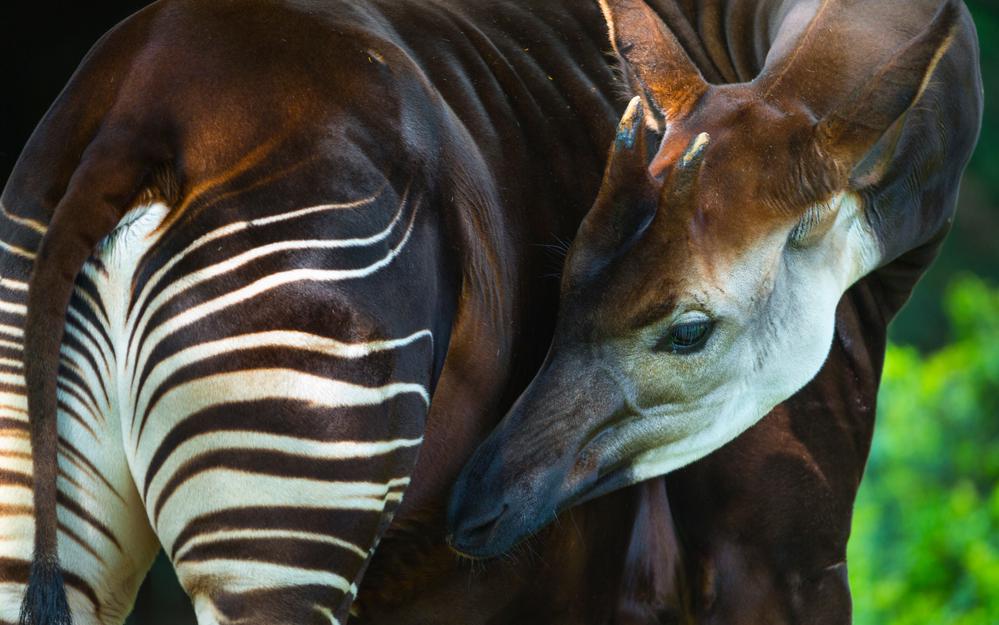 Фото: Shutterstock